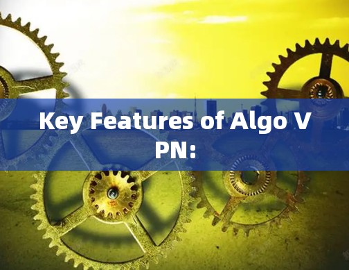 Key Features of Algo VPN: