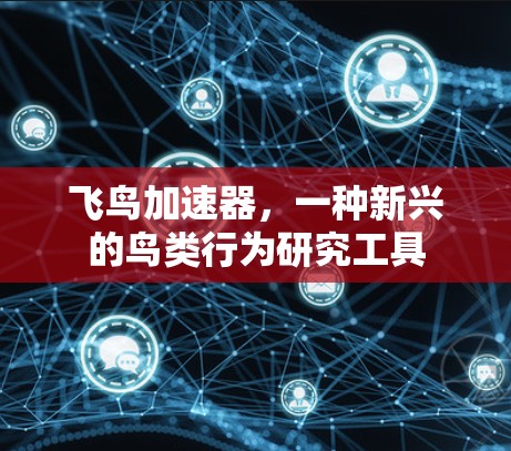 飞鸟加速器，一种新兴的鸟类行为研究工具