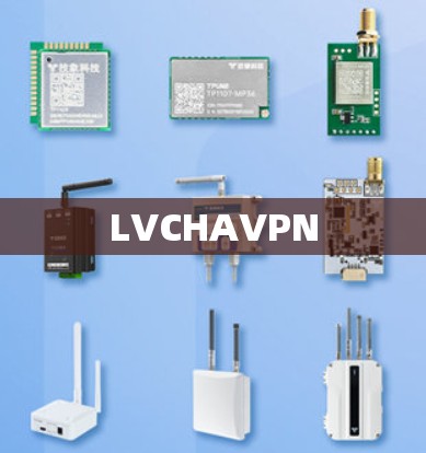 LVCHAVPN
