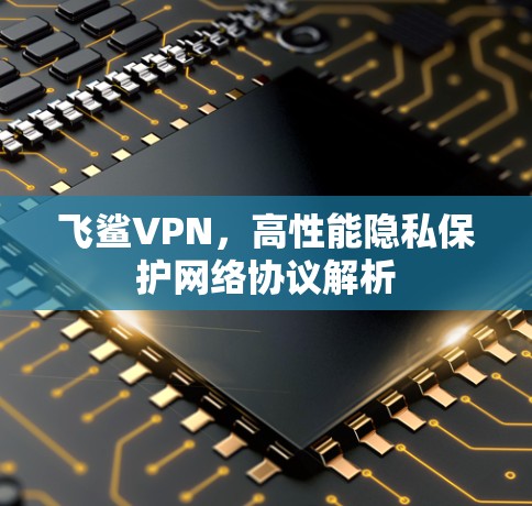 飞鲨VPN，高性能隐私保护网络协议解析