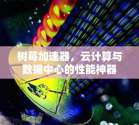 树莓加速器，云计算与数据中心的性能神器
