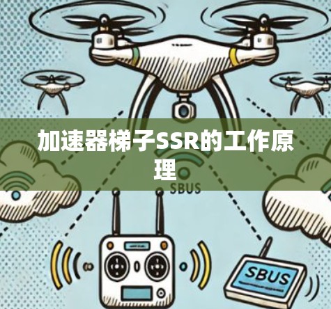 加速器梯子SSR的工作原理