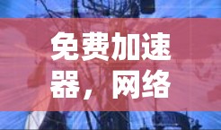 免费加速器，网络通信领域的双刃剑